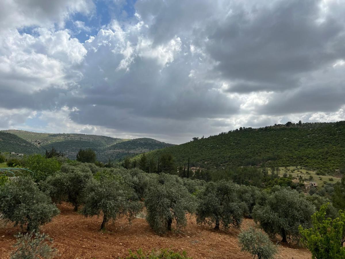 Oak Farm مزرعة الملّول Pensionat ‘Ajlūn Exteriör bild